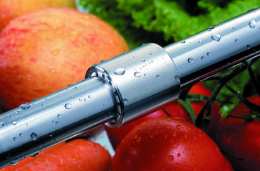 Processamento de frutas e produtos hortícolas