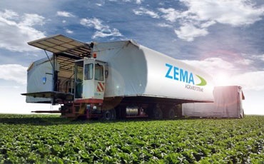 Máquinas de colheita especiais para colheita e processamento semiautomático