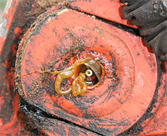 Foto de aplicação com falta de lubrificação