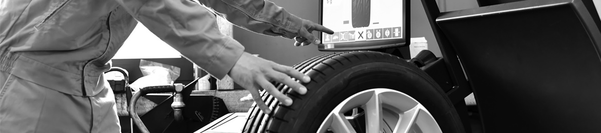 Cobertura para pneus
